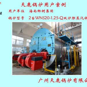 椰樹集團(tuán)2臺WNS20-1.25-Q雙爐膽蒸汽鍋爐